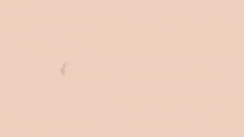 GIF by The Lip Bar