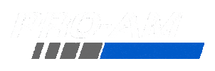 Motorsport Racecar Sticker by PRO-AM Racing