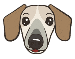 Dog Dachshund Sticker by takaramono