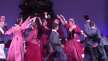 Bangor Symphony Orchestra GIF