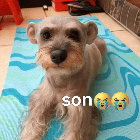 Son Folk GIF