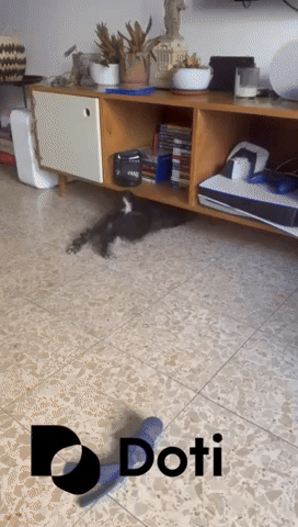 Happy Dog GIF by Doti.AI