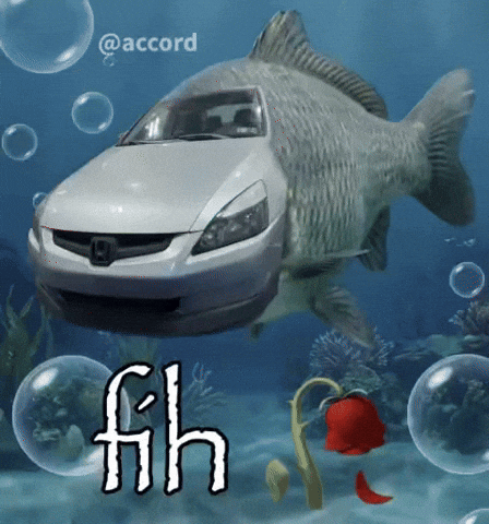 Honda Fih GIF