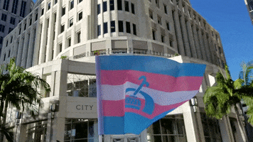 Trans Community GIF by City of Orlando