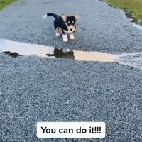 200.gif?cid=fc005b08bc8dbf6cf636735070ebc8cf5e941845e801bdc8&rid=200.gif&ct=g