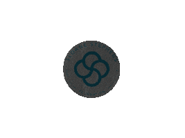Ssfoundation Sticker by SSF
