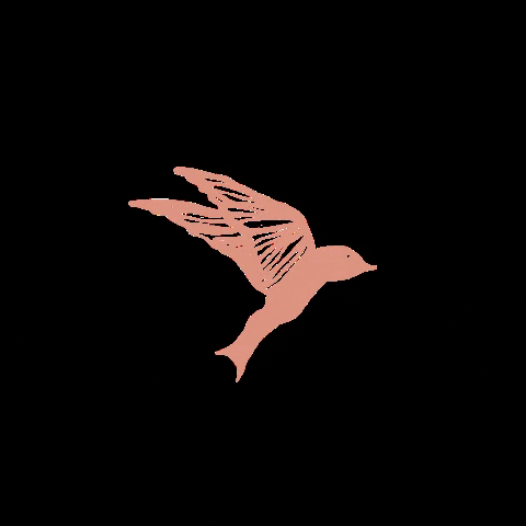 The_Nest_Marketing_Agency GIF