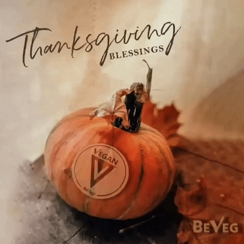 beveg vegan pumpkin thanksgiving blessings GIF