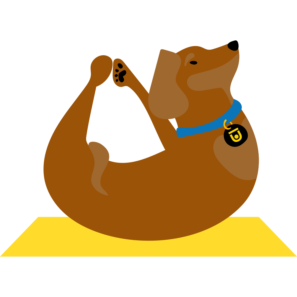 Yoga Dog Sticker by Chuze Fitness for iOS & Android GIPHY
