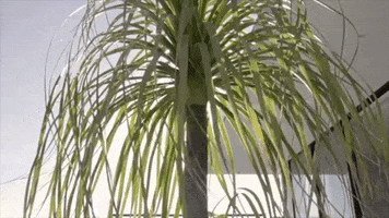 GIF by Keller Williams Beverly Hills