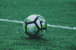 Betmaster GIF