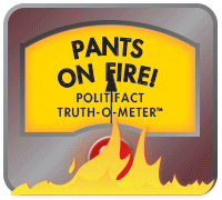 Image result for pants on fire gif
