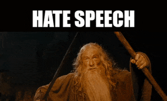 Nohatespeech Nohate GIF by Democratic Meme Factory