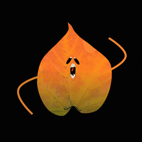 holpi GIF
