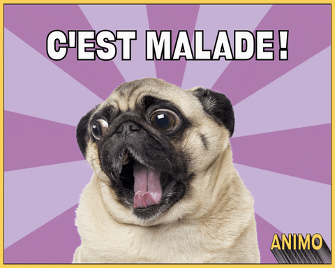 Le Plus Populaire Gif Anime Chien Malade Abdofolio