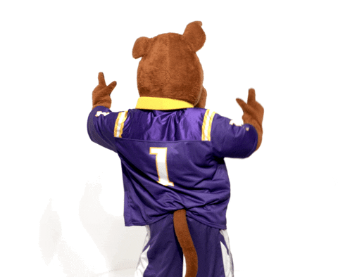 Great Dane Damien Gif By Ualbany Find Share On Giphy Great Dane Damien Gif By Ualbany Find Share On Giphy