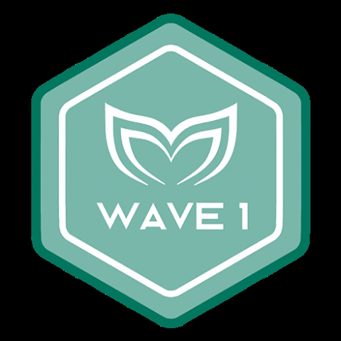 Wave1 GIF by Molchanovs