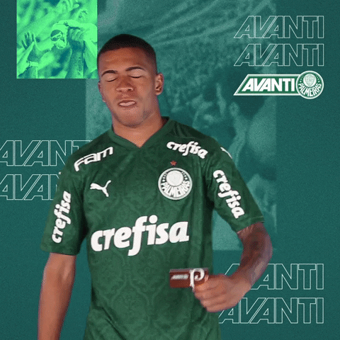 Soccer Showing GIF by SE Palmeiras