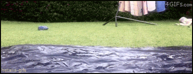 aph france