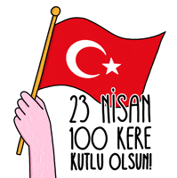 Turkish Flag GIF by Idil Keysan