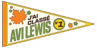 Avi Npd Sticker by Lewis For Leader