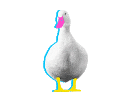 Duck Badass Sticker by Ducklife