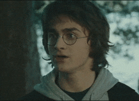 maxlefou reaction what confused harry potter GIF