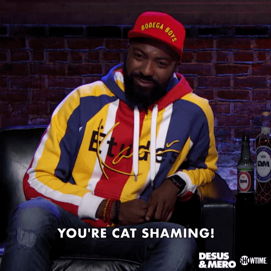 Cat Shame GIFs Get the best GIF on GIPHY