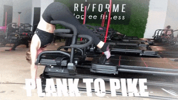 Re/forme lagree GIF