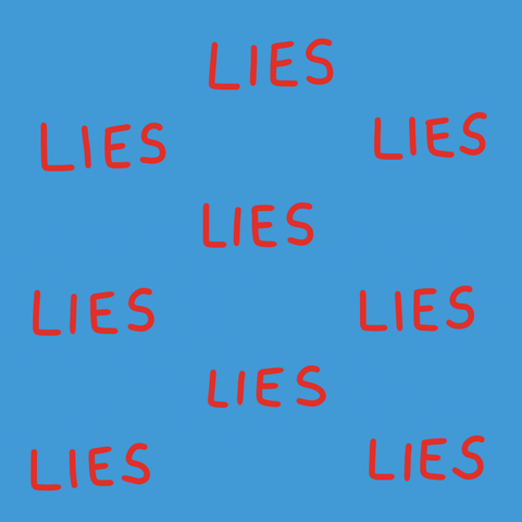 Trump Lying GIF by Nick