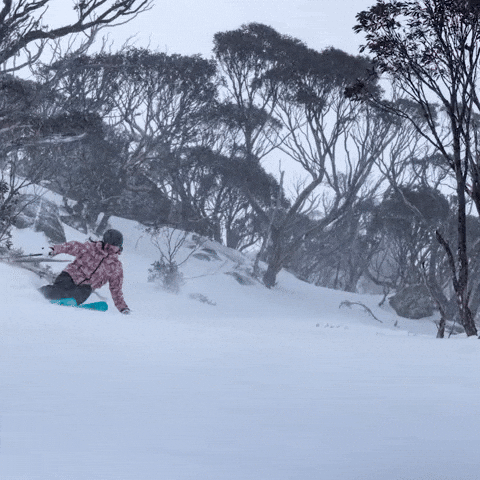 GIF by Thredbo