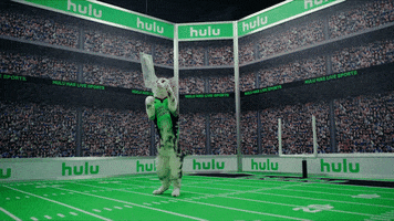 Todd Gurley Cat GIF by HULU