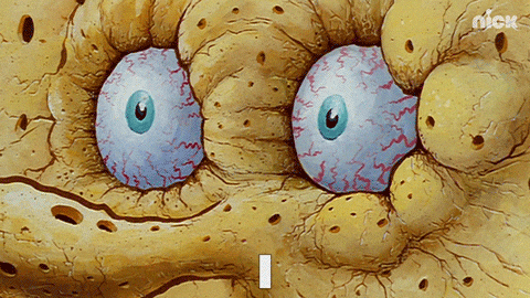 Giphy - Bikini Bottom Water GIF by SpongeBob SquarePants