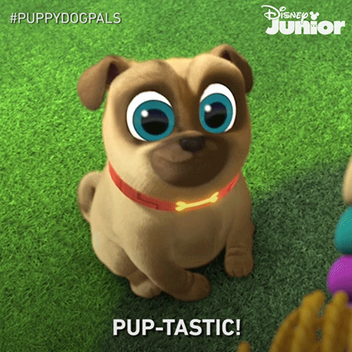 Happy Puppy Dog Pals GIF by Disney Jr.