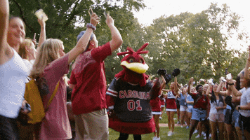 Mascot Sc GIF by University of South Carolina