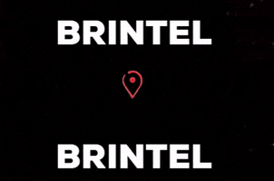 Brintel GIF