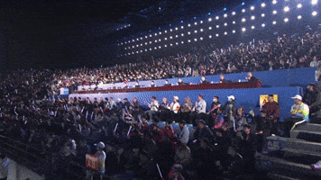 Steelyard Tai Chi GIF