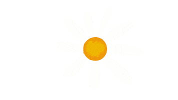 Summer Sticker