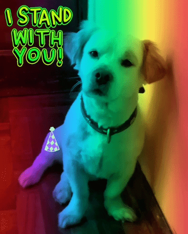 Mr Pipo GIF