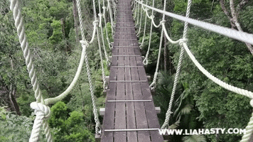 Liahastydotcom Habitatpenang GIF