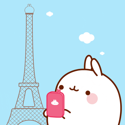 Travelling France GIF by Molang