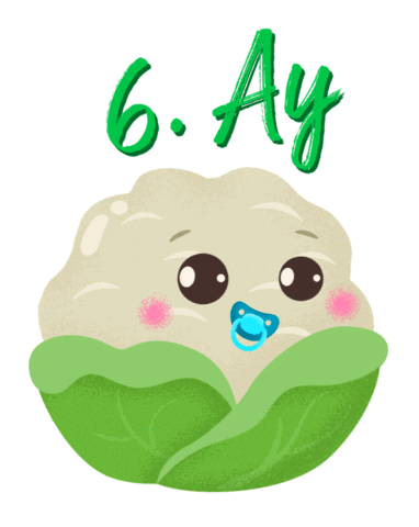 Demir Sağlık ve Hayat Sigorta Sticker