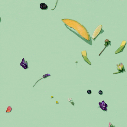 Animation Flowers GIF by Mighty Oak