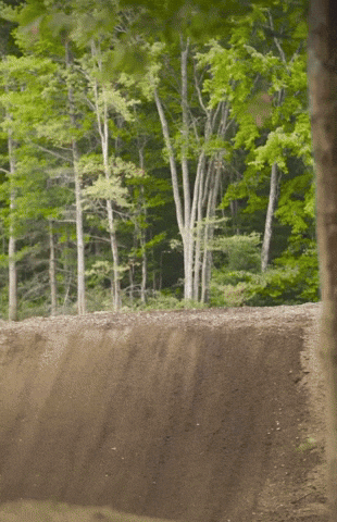 Dirtbikes GIF by Onlywheelies