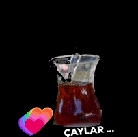 GIF by Ankara'nin Sesi Haber Sitesi