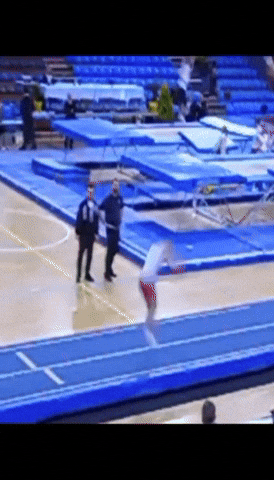 Jozefwadecki Jozef Gymnast Flips Salto GIF