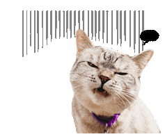 Cat Pet Sticker