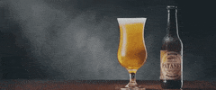 Cerveza Madrid GIF by Patanel
