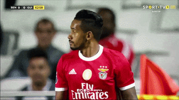 Frustrated No Way GIF by Sport Lisboa e Benfica