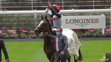 Come On Clap GIF by Ascot Racecourse